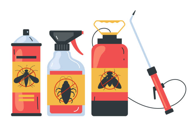 Best Local Pest Control Services  in Ruhenstroth, NV