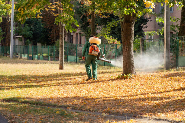Best Residential Pest Control  in Ruhenstroth, NV