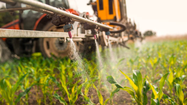 Best Pest Removal Services  in Ruhenstroth, NV